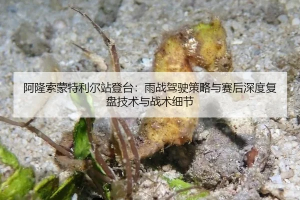 阿隆索蒙特利尔站登台：雨战驾驶策略与赛后深度复盘技术与战术细节